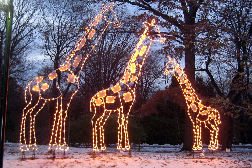 Bronx Zoo lights